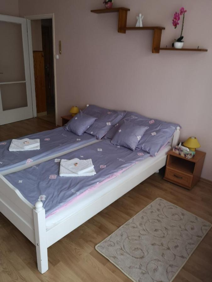 Natasa Apartman Oroshaza Ngoại thất bức ảnh